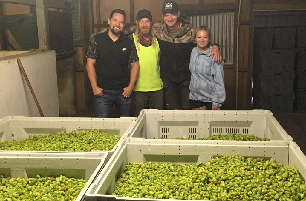 Huge year for fresh hop